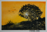 Coucher de soleil